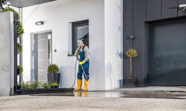 Best Dumpster Area Cleaning  in Mount Pulaski, IL